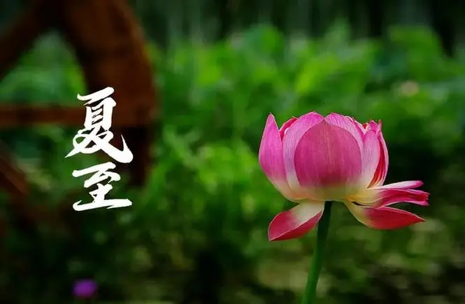 中国传统二十四节气——夏至